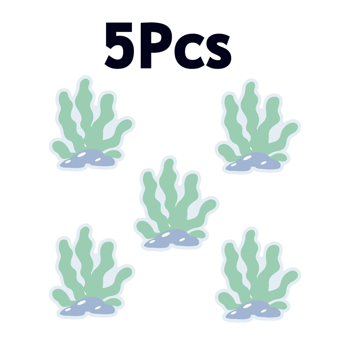 5 Seaweed
